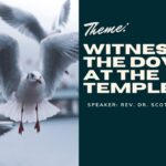 Holy Monday : Witness of the Doves at the Temple